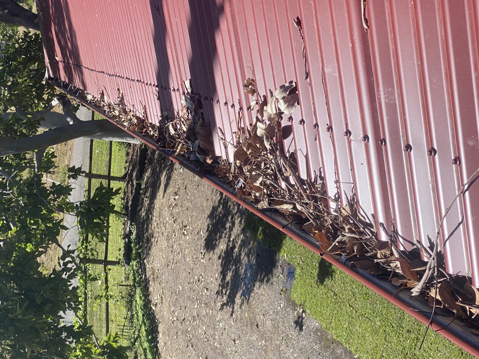 Before: heavy leaf build-up — The problem before LBC